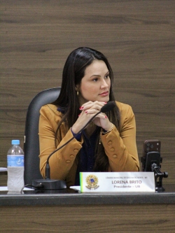 7ª Sessão Ordinária da Câmara Municipal