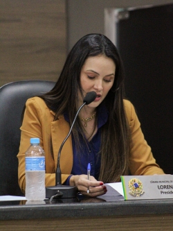 7ª Sessão Ordinária da Câmara Municipal